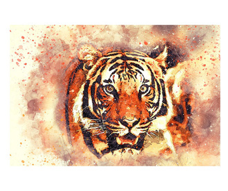 Картина на платно, Tiger Colors, 50x70cm