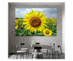 Картина на платно, Sunflower, 30x50cm
