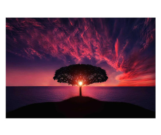 Картина на платно, Sun Tree, 70x100cm