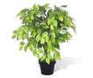 Umjetni patuljasti fikus s prirodnim izgledom i loncem, 60 cm thumbnail 1