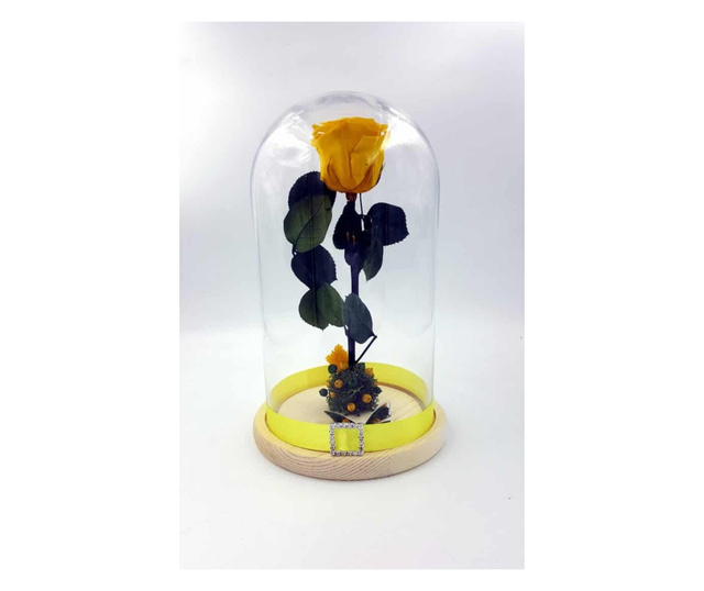Trandafir criogenat natural, pe pat de muschi stabilizat, in cupola medie de sticla cu baza natur - Mov Deschis