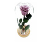 Trandafir criogenat natural, pe pat de muschi stabilizat, in cupola medie de sticla cu baza natur - Mov Deschis