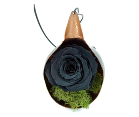Trandafir Criogenat pe pat de muschi in fotoliu suspendat - Negru
