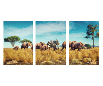 Multivászon nyomtatás 3 db, Elephant Family, 100x210cm