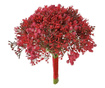 Букет цветя в червен цвят