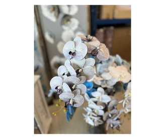 Стрък орхидея в сиво-лилав цвят