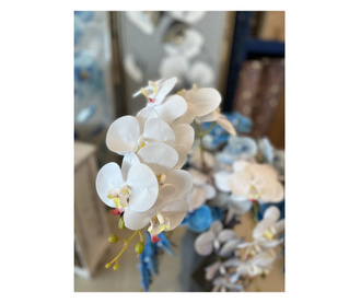 Стрък орхидея в бял цвят