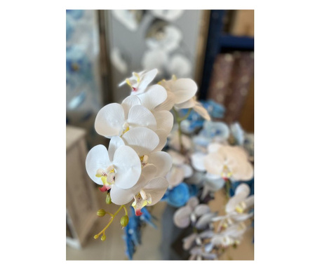 Стрък орхидея в бял цвят