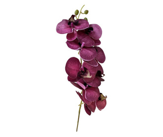 Стрък орхидея в тъмнорозов цвят