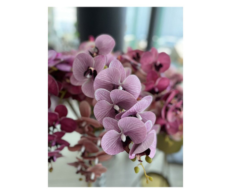 Стрък орхидея в лилав цвят