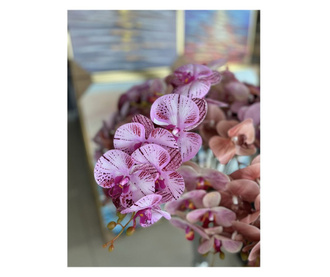 Стрък орхидея в розово-лилав цвят