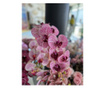 Стрък орхидея с наситено лилави детайли