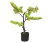 Umjetni bonsai čempres s loncem, zelen, 60 cm thumbnail 2