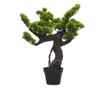 Umjetni bonsai Pinus s loncem, zelen, 70 cm thumbnail 2