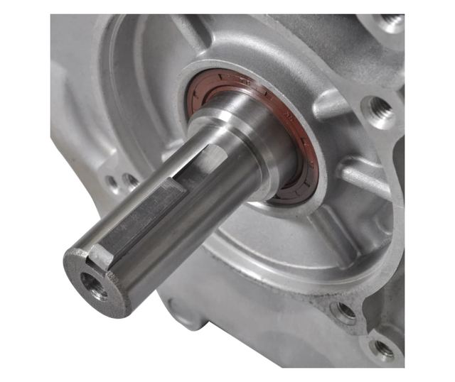 Benzinski motor 15 KS 11 kW crni