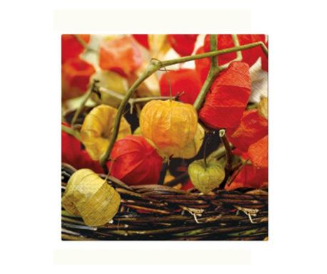 Servetele de masa, 33x33 cm, Physalis of Autumn