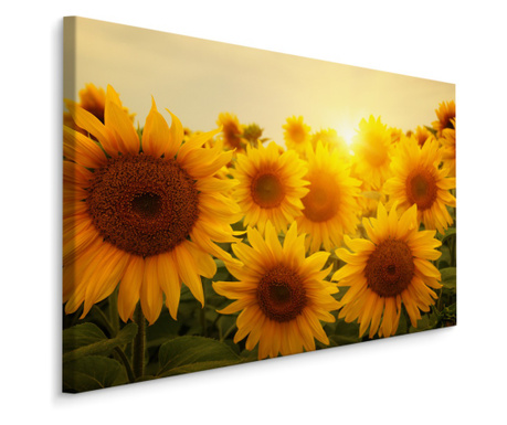 Tablou Canvas Florile-Soarelui APUS 3D