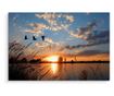 Canvas Print for Living Room Birds LANDSCAPE Sunset 3D