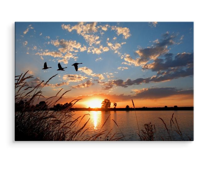 Canvas Print for Living Room Birds LANDSCAPE Sunset 3D