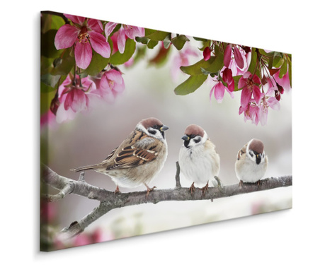 Obraz do obývacího pokoje ptáci vrabci větev příroda