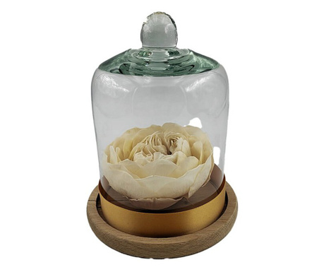 Bujor natural criogenat in cupola mica de sticla cu buton cu baza natur - Bujor Sampanie