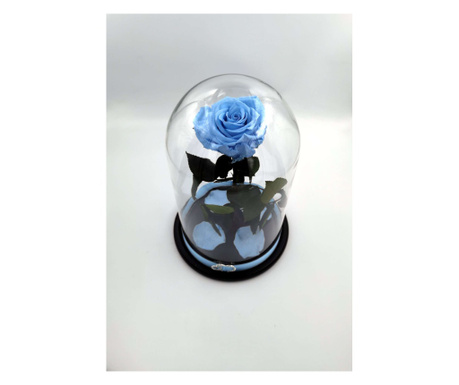 Trandafir criogenat natural mare, pe pat de petale, in cupola mare de sticla cu baza neagra - Albastru ciel