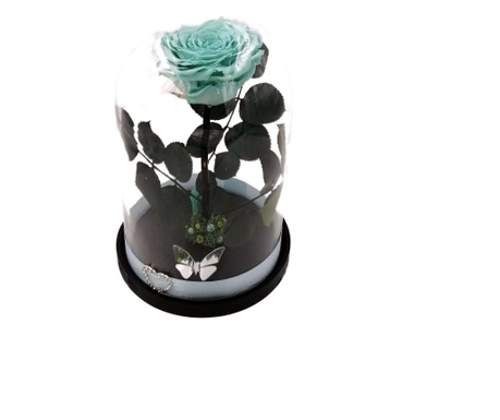 Trandafir criogenat natural gigant, pe pat de muschi stabilizat, in cupola mare de sticla cu baza neagra - Turcoaz acvamarin