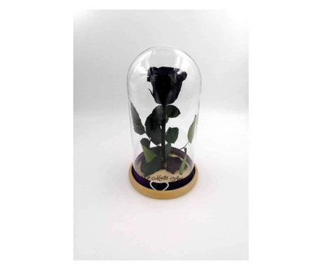 Trandafir Criogenat Natural, pe pat de petale naturale criogenate, in cupola mica de sticla cu baza natur - Mov