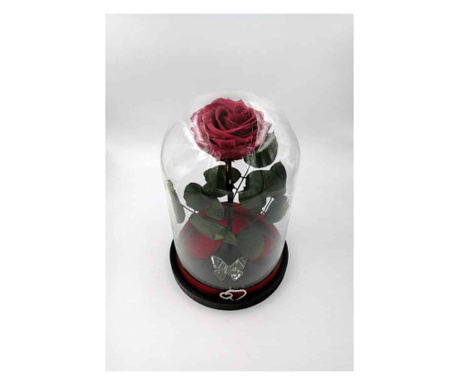 Trandafir criogenat natural mare, pe pat de petale, in cupola mare de sticla cu baza neagra - Cherry