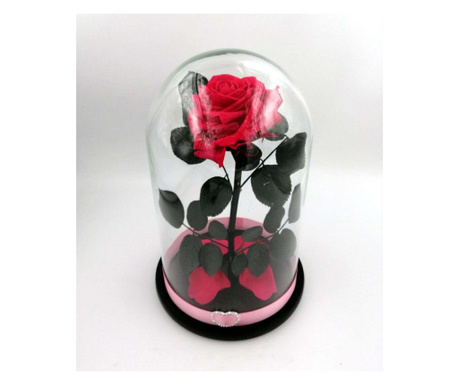 Trandafir criogenat natural mare, pe pat de petale, in cupola mare de sticla cu baza neagra - Fucsia