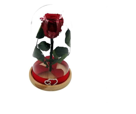Trandafir Criogenat Natural, pe pat de petale naturale criogenate, in cupola mica de sticla cu baza natur - Rosu