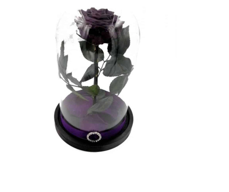 Trandafir criogenat natural mare, pe pat de petale, in cupola mare de sticla cu baza neagra - Mov