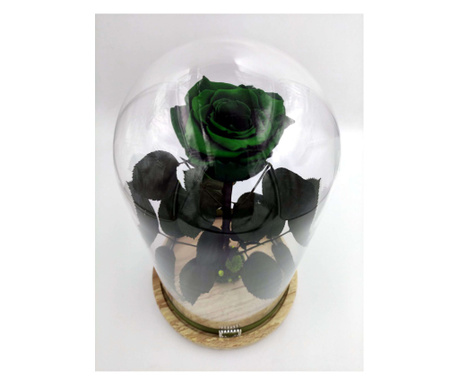 Trandafir criogenat natural, pe pat de muschi stabilizat, in cupola medie de sticla cu baza natur - Verde