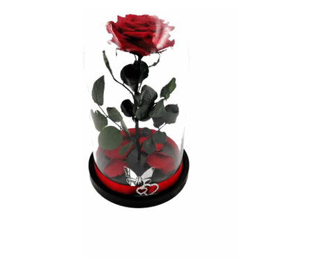 Trandafir criogenat natural mare, pe pat de petale, in cupola mare de sticla cu baza neagra - Rosu