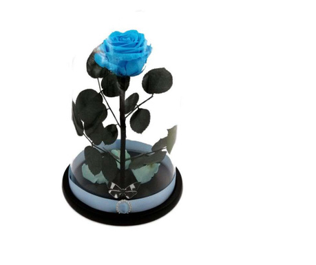 Trandafir criogenat natural mare, pe pat de petale, in cupola mare de sticla cu baza neagra - Turcoaz acvamarin