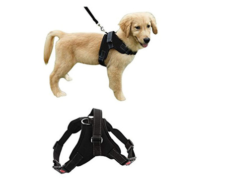 Állítható kutyahám, fényvisszaverő, Fekete, 20 x 12 cm, XS méret, MCT Power-01