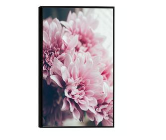 Keretezett poszterek, Pink Spring Flowers, 60x40 cm, fekete keret