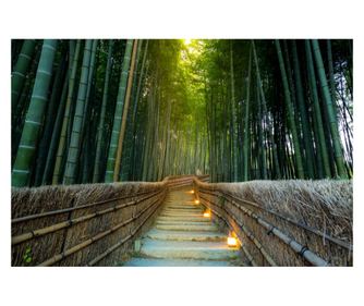 Samoljepljiva i periva tapeta za zid Padure31, 250 x 200 cm