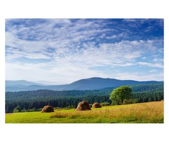 Samoljepljiva i praljiva tapeta za zid Natura149, 250 x 200 cm