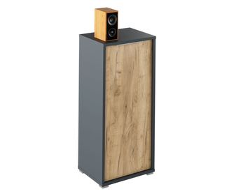 Ντουλάπι Rioma 50x38x112,2 cm από MDF σε χρώμα Γραφίτης/Δρυς Artisan