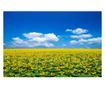 Tapéta Natura104, 200 x 150 cm thumbnail 1