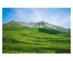 Tapéta Natura108, 200 x 150 cm thumbnail 1