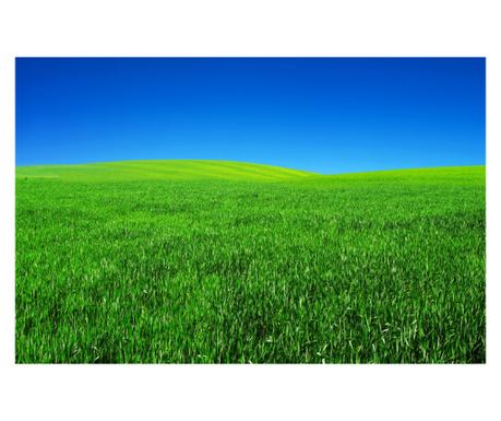 Tapéta Natura109, 200 x 150 cm