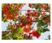 Tapéta Virágok60, 300 x 200 cm thumbnail 1