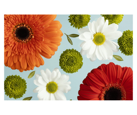 Tapéta Virágok162 Gerberák és százszorszépek, 300 x 250 cm