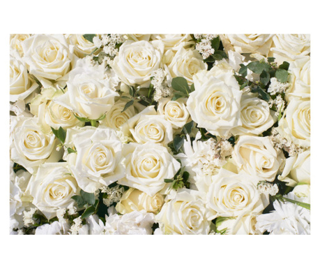 Matrica tapéta Virágok173 Fehér rózsák2, 250 x 200 cm