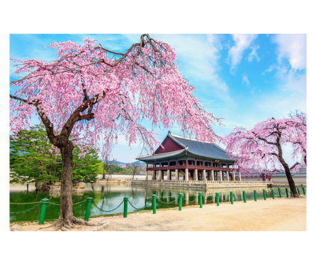 Фототапет Natura164 Корейски дворец с черешови цветове, 200 x 150 cm