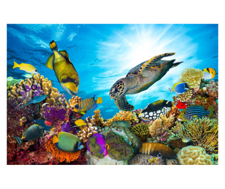 Тапет Воден свят, коралов риф, 350 х 250 см