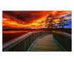Fototapeta samoljepljiva stablo u zalazu sunca, 250 x 150 cm