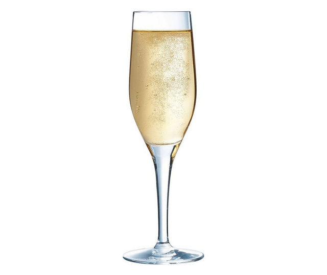 Чаша за шампанско Chef & Sommelier Прозрачен Cтъкло (19 cl)